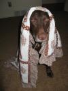 Bet they don't let me fly on a plane lookin' like this...