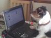 Mum said this facebook is good! Lets see?