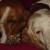 Valentine &amp;  Suzi