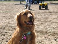 Roxy