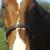 Twix