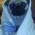 Daisy Williams