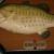 Fil A. O'Fish