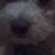 Luc