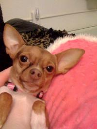 Snickers