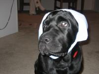 Wallace