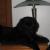 Maxie
