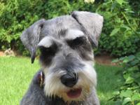 Smushy Bates