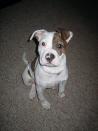 Roxy 