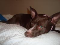 Lucy
