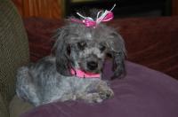 Annie