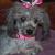 Annie