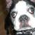 Capone
