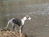MicMac - please help me find my way home!