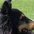 I'm Carmen. You can read about me in my brother Dusty's book, www.doggedpursuit.net