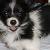 me when I was really young....I am now 8 mths old