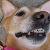 I have sparkly teeth and minty fresh breath.