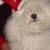Pierre Claus