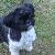 Molly