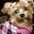 Sadie Lou in pink sweater