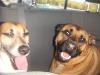 Are we there yet???
