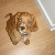 Henry at 8 weeks old x