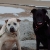 ALex and Loki at Cape Cod