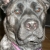 Roxy Rebel!