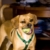 Oliver