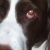 My Tegan!