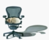 Indie and my Aeron chair. 2 things I value greatly.