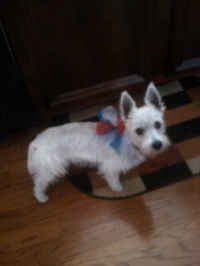 Kenzy