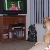 Watching 'It's Me Or The Dog' ... if only she could learn while watching. :)