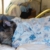 Zeke taking over the bed!
