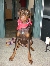 Reese