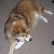 Molly