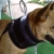 Loona Good Girl