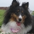 Gia 15 months