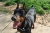 Zeus Martin Cresswell