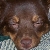 Sleepy time.
