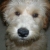 Marvin