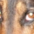 Its all in the eyes ...baby!
