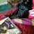 Reading!