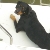 Dave here again - I like boats and swimming by the way...