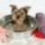 Minky is taking a fake bath at the studio !!!!!!!!