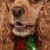 Caramel is at the new year party !!!!!!!