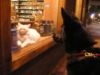 Rose checking out Abbey the cat at Back of Beyond Books, Moab